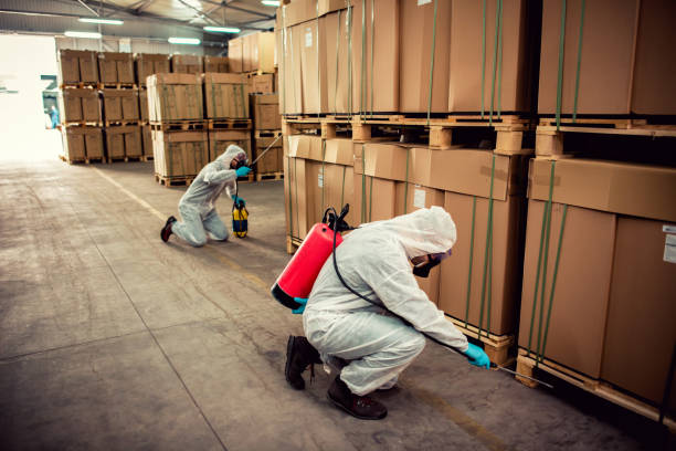  Phoenixville, PA Pest Control Pros