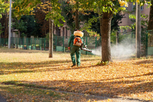 Best Pest Control Near Me in Phoenixville, PA